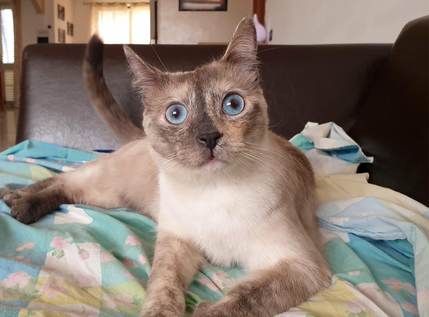 Coco, prima fotografia