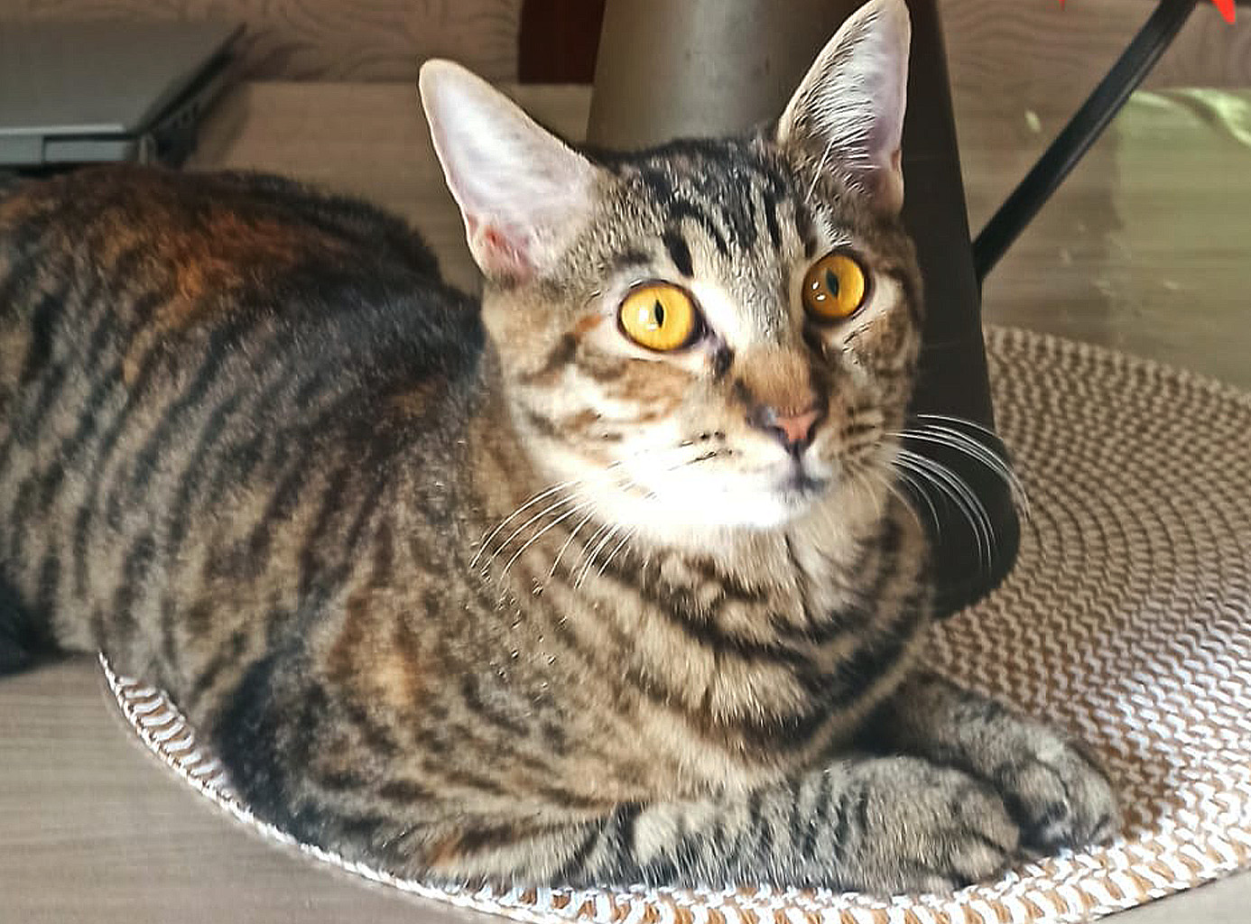 Nina, quarta fotografia