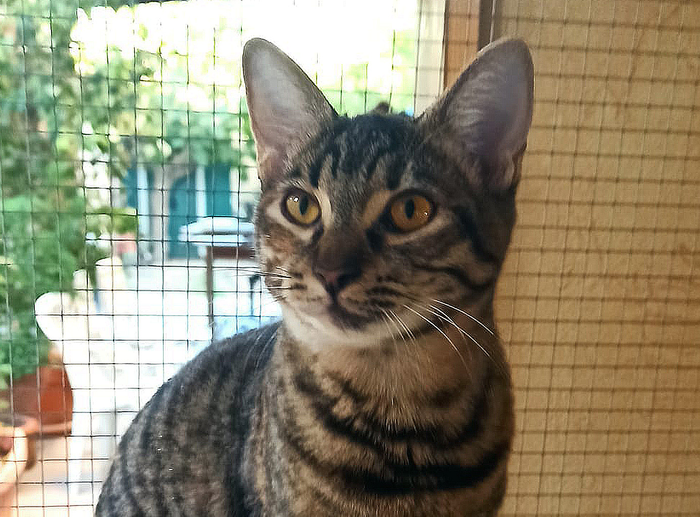 Nina, terza fotografia